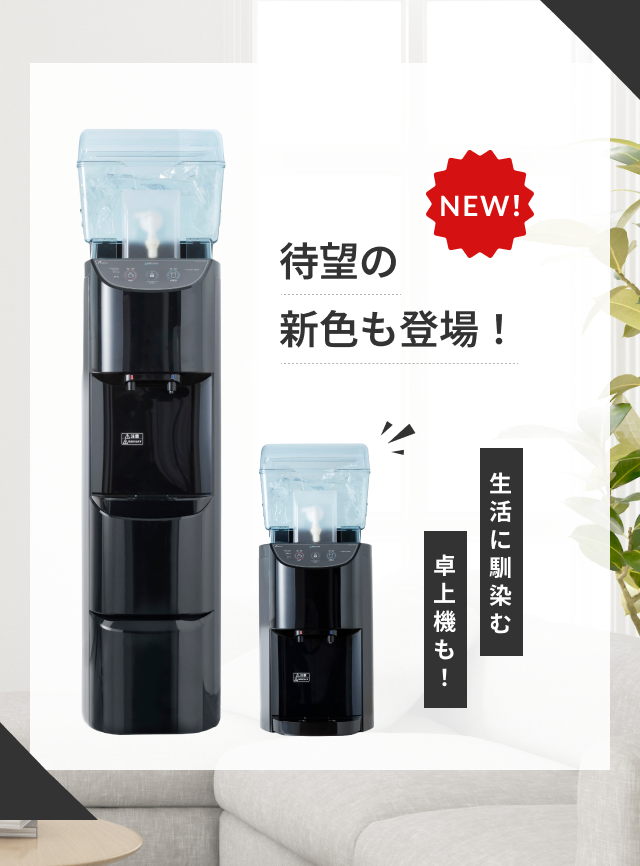 待望の新色も登場！